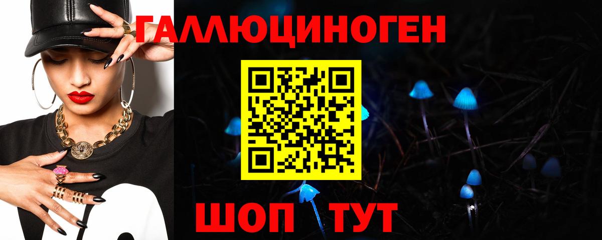 Псилоцибиновые грибы GOLDEN TEACHER  Галлюциногенные грибы мицелий  Лабытнанги  Вход с VPN 